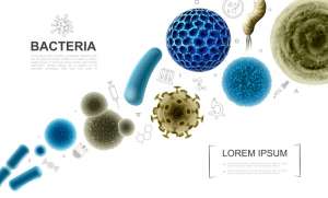 How To Cleanse Your Body Of Parasites How To Cleanse Your Body Of Parasites